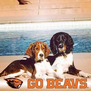 Meet your Posher, Scott